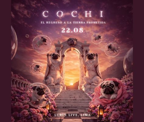Banner Cochi en Lima 2026